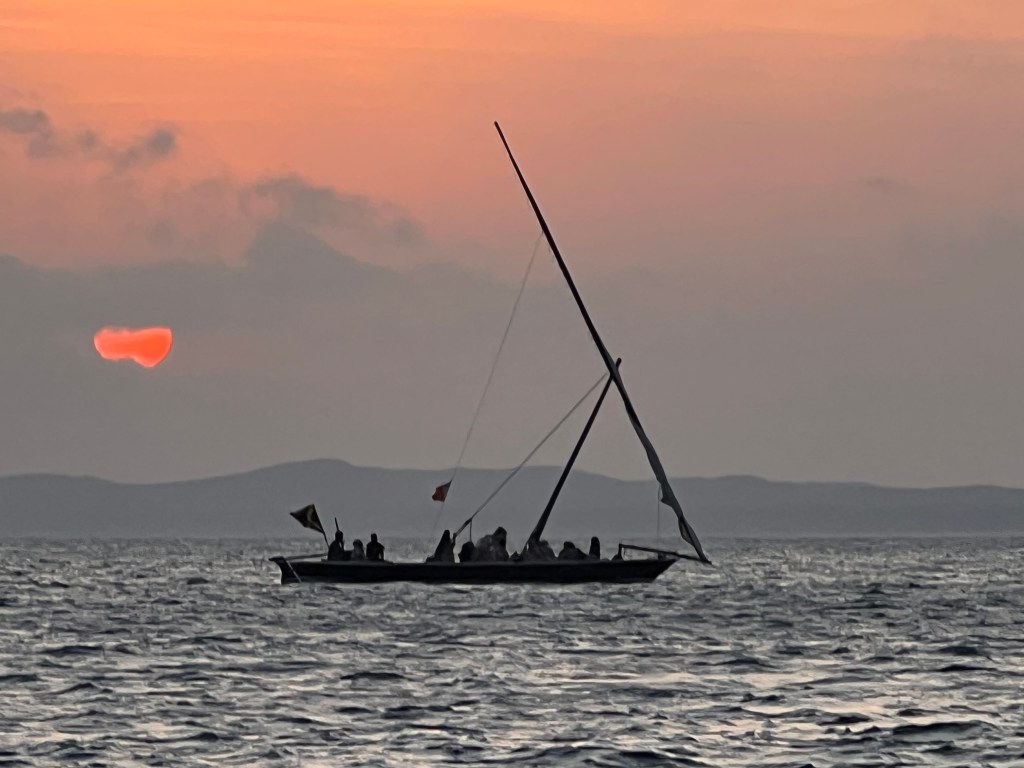 sailfish on fly lamu kenya 