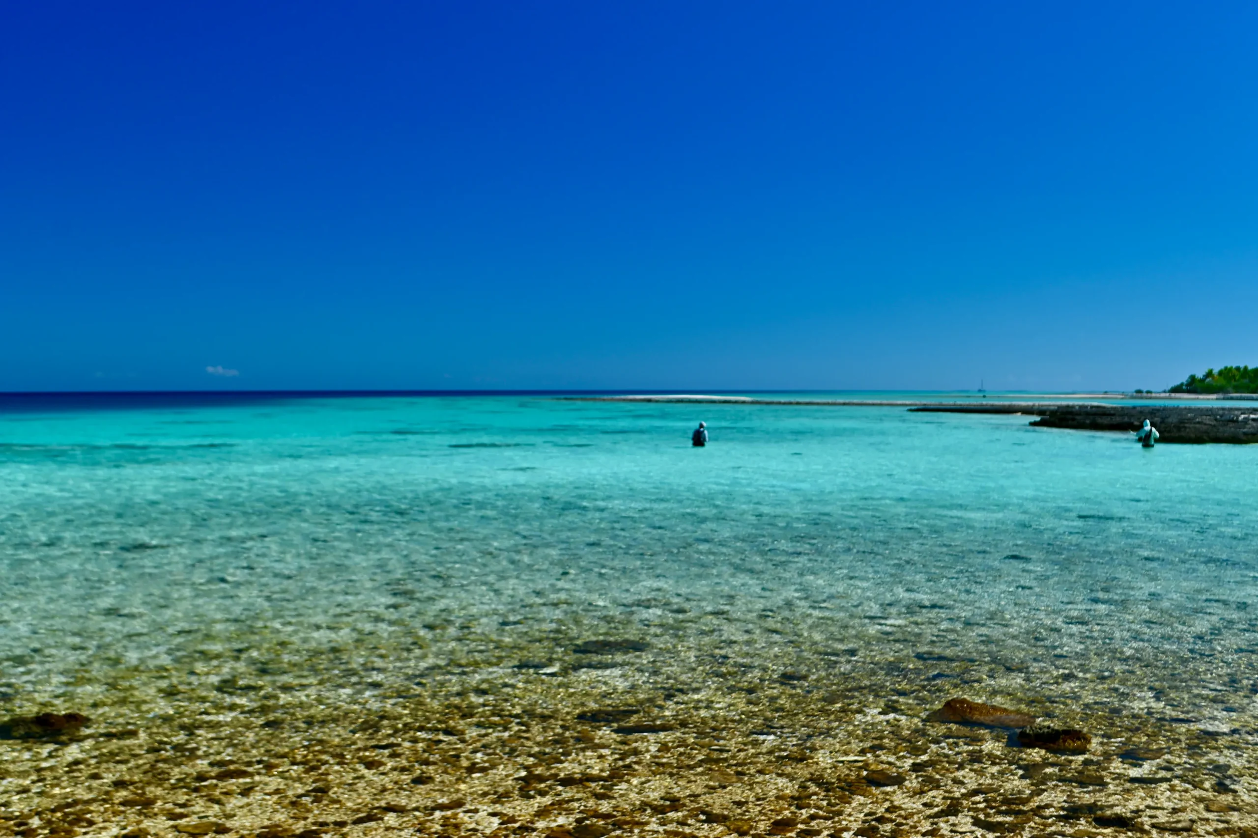 fly fish french polynesia
